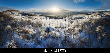Panorama di foresta ghiacciata con sole all'alba spettacolare. Paesaggio invernale Foto Stock