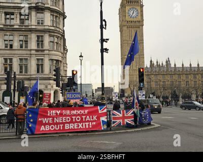 Londra, Regno Unito. 29 gennaio 2025. Un piccolo gruppo di manifestanti manifestano per il ritorno del Regno Unito all'Unione europea in Parliament Square, Westminster. Foto Stock