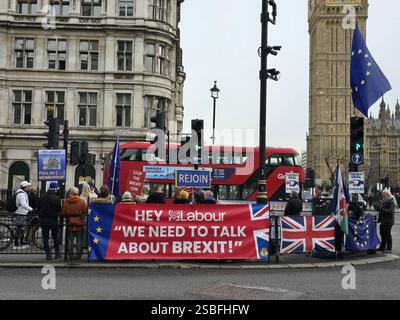Londra, Regno Unito. 29 gennaio 2025. Un piccolo gruppo di manifestanti manifestano per il ritorno del Regno Unito all'Unione europea in Parliament Square, Westminster. Foto Stock