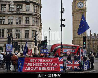 Londra, Regno Unito. 29 gennaio 2025. Un piccolo gruppo di manifestanti manifestano per il ritorno del Regno Unito all'Unione europea in Parliament Square, Westminster. Foto Stock