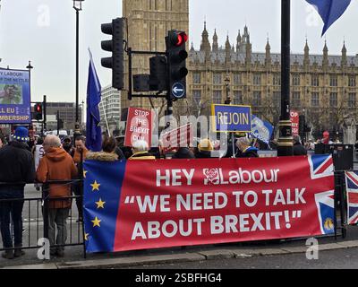 Londra, Regno Unito. 29 gennaio 2025. Un piccolo gruppo di manifestanti manifestano per il ritorno del Regno Unito all'Unione europea in Parliament Square, Westminster. Foto Stock