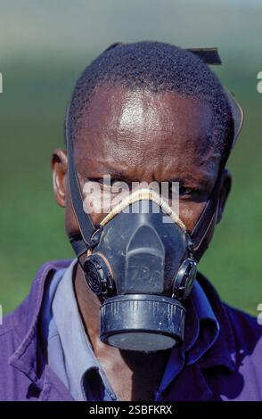 Kenya, Kikuyu - la Rift Valley ha un clima piacevole e, cosa ancora più importante, un lago dove molti coltivatori di fiori provenienti dall'Europa hanno le loro filiali ed expo Foto Stock