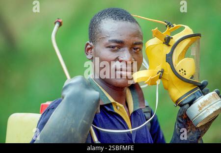 Kenya, Kikuyu - la Rift Valley ha un clima piacevole e, cosa ancora più importante, un lago dove molti coltivatori di fiori provenienti dall'Europa hanno le loro filiali ed expo Foto Stock