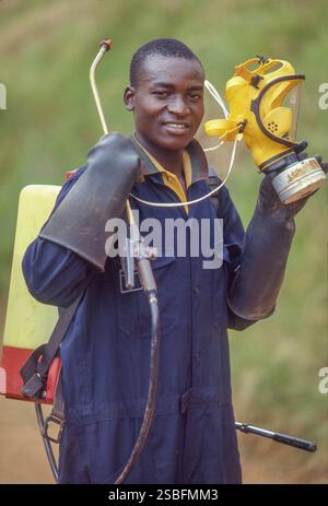 Kenya, Kikuyu - la Rift Valley ha un clima piacevole e, cosa ancora più importante, un lago dove molti coltivatori di fiori provenienti dall'Europa hanno le loro filiali ed expo Foto Stock