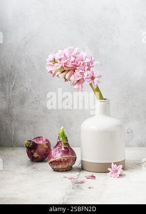 Natura morta con fiori di Giacinto rosa pastello e bulbi in un vaso di ceramica. Arredamento fatto in casa. Copia spazio. Foto Stock