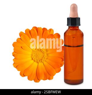 Fiore di Marigold con bottiglia ed essenza isolata su bianco Foto Stock