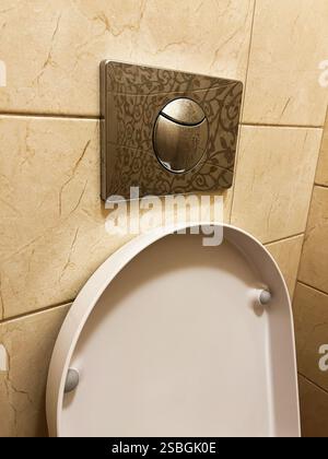 Elegante stanza da bagno con un elegante pulsante metallico a filo con motivi intricati e un orinatoio bianco pulito contro le pareti piastrellate. Rappresenta la pulizia Foto Stock