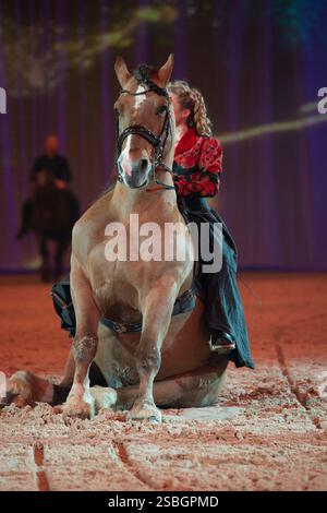 Elise Roméo presenta il suo spettacolo "l'équilibre des Forces". Questo numero di dressage riunisce le razze francesi di cavalli pesanti Elise Roméo (Boulonnais, Ardennes, Comtois, Breton Draft, Auxois, Poitevin Mulassier Draft, Northern Percheron Draft). Vi invita a spolverare idee preconcette con in particolare il suo stallone Cob Normand e il suo mulo "Juju", al Exposition Park di Avignone il 26 gennaio 2025. Foto di Cyrille Bernard/ABACAPRESS. COM Foto Stock