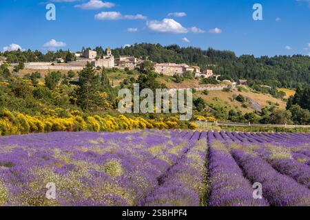 Villaggio collinare di Aurel a Vaucluse. Pittoresco paesaggio provenzale con campo di lavanda in piena fioritura sull'Albion Plateau. Estate in Francia Foto Stock