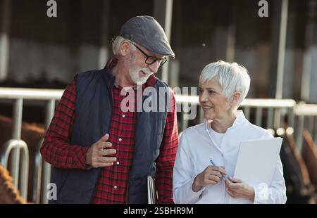 Contadina anziana e veterinaria donna che parla nella fattoria di bovini rossi e neri di Angus Foto Stock