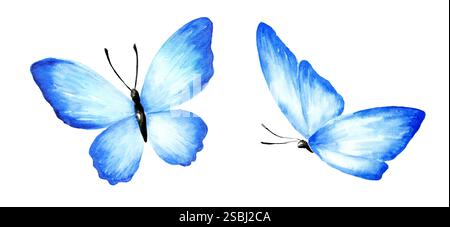 Farfalle blu tropicale. Illustrazione dipinta a mano ad acquerello, isolata su sfondo bianco Foto Stock