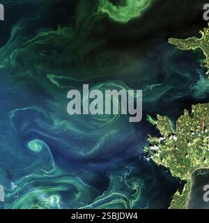 Un vorticoso fitoplancton verde fiorisce nel Golfo di Finlandia, una sezione del Mar Baltico, il 18 luglio 2018. Un vortice oceanico potrebbe pompare sostanze nutritive dalle profondità. Foto Stock
