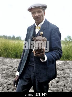 Carver, in piedi sul campo, probabilmente a Tuskegee, tenendo un pezzo di terreno. George Washington Carver (1864-1943) è stato uno scienziato afroamericano, botanico, educatore e inventore nato in schiavitù. La sua reputazione si basa sulla sua ricerca e promozione di colture alternative al cotone, come arachidi, soia e patate dolci. Voleva che i poveri agricoltori coltivassero colture alternative come fonte di cibo e per migliorare la loro qualità di vita. Frances Benjamin Johnston, 1906 anni. Colorato. Foto Stock