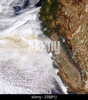Il 2 settembre 2020, il Moderate Resolution Imaging Spectroradiometer (MODIS) sul satellite Terra della NASA ha acquisito questa immagine a colori naturale di fumo proveniente dagli incendi della California che soffiano verso ovest sull'Oceano Pacifico, con la sua cima nuvolosa. La maggior parte del fumo ha avuto origine dall'incendio dell'August Complex, che stava bruciando nella Mendocino National Forest, che aveva bruciato più di 261.000 acri (408 miglia quadrate/1.060 chilometri quadrati) ed era contenuto al 20% in questa data. Foto Stock