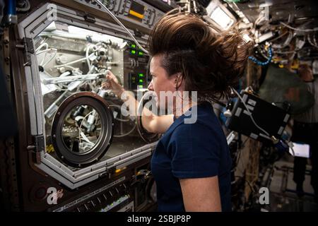 Astronauta della NASA e ingegnere di volo della Expedition 65 Megan McArthur a bordo della stazione spaziale Internazionale il 24 maggio 2021. McArthur sta lavorando al cassetto portaoggetti Microgravity Science scambiando campioni per un esperimento chiamato solidificazione usando un deflettore in fiale sigillate, o SUBSA. L'indagine fisica esplora i metodi sperimentali di cristallizzazione fonde in microgravità e si prevede che comporti una riduzione del movimento dei fluidi nella fusione, portando a una migliore distribuzione dei sottocomponenti e al potenziale di una migliore tecnologia utilizzata nella produzione di cristalli semiconduttori. Foto Stock