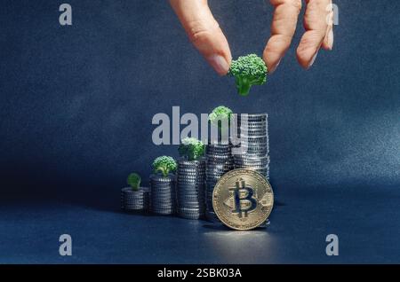 Bitcoin, investimenti, concetto di crescita, criptovaluta. Dita femminili che mettono l'albero verde su una pila di monete contro il buio Foto Stock
