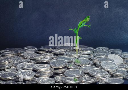 Problemi ambientali. Germoglio verde che cresce sulle monete sparse. Salvare il mondo, proteggere il concetto di natura Foto Stock