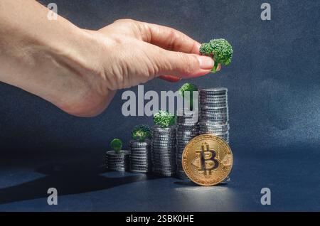 Bitcoin, investimenti, concetto di crescita, criptovaluta. Mano femminile che posiziona l'albero verde su una pila di monete contro il buio Foto Stock