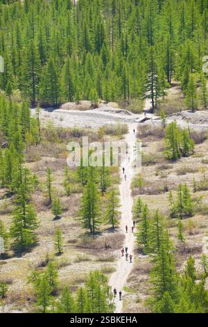 Escursionisti che passano lungo un sentiero attraverso conifere di larice nella valle di San Pierre, Pré de Madame Carle, dopo essere tornati dal Ghiacciaio bianco. Hautes Alpes, Ecrins National Park, Pelvoux. Foto Stock