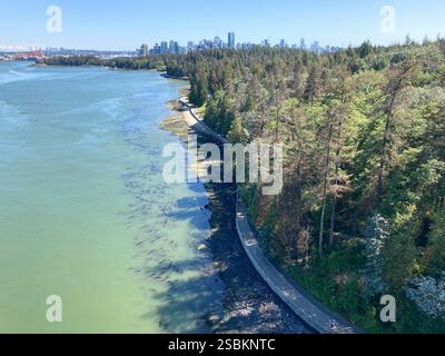Vista ad angolo alto del muro del parco Stanley e della lussureggiante foresta a Vancouver, con lo skyline della città in lontananza sotto un cielo blu terso. Foto Stock