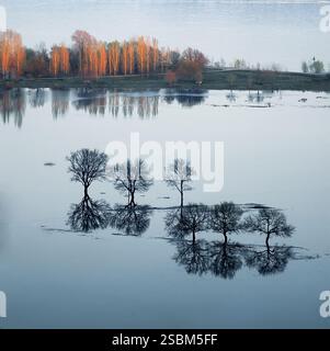 Molla alta acqua al grande fiume Foto Stock