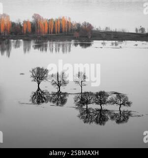Acqua sorgiva all'ampio fiume Volga Foto Stock