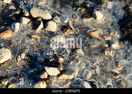 Ciottoli ricoperti di ghiaccio sulla spiaggia norvegese in inverno. Foto Stock
