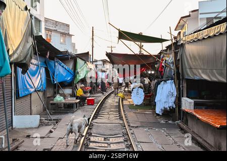 Maeklong mercato ferroviario, Thailandia Foto Stock