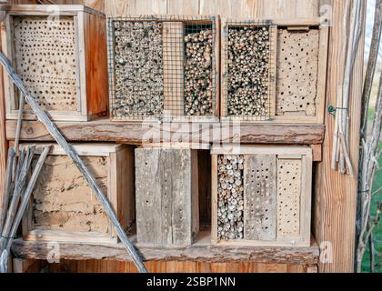 Case di insetti in diversi materiali: argilla, legno. Foto di alta qualità Foto Stock