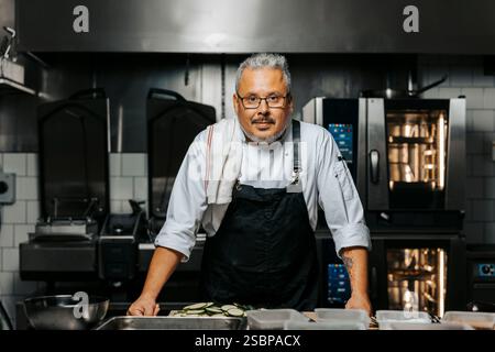 Ritratto di uno chef maschio maturo che indossa il grembiule e sta in piedi in cucina al ristorante Foto Stock