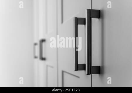 Vista dettagliata e laterale delle porte del guardaroba della camera da letto con maniglie in metallo in stile moderno, in bianco e nero. Foto Stock