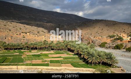 Il vecchio villaggio di Ghul, situato 12 km ad ovest di al Hamra e sulla strada per Jebel Shams, al Dakhiliyah, Oman, con lussureggianti piantagioni di datteri in primo piano Foto Stock