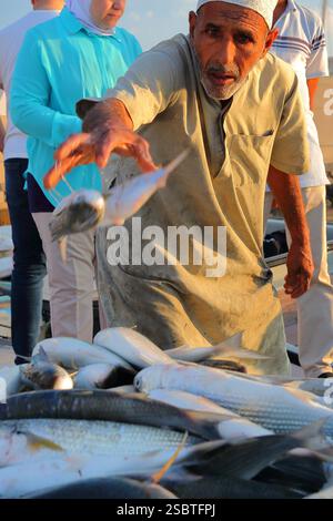 MUTTRAH, MASCATE, OMAN - 27 DICEMBRE 2024: Il molo vicino al mercato ittico con un operaio che scarica il pesce da un peschereccio Foto Stock