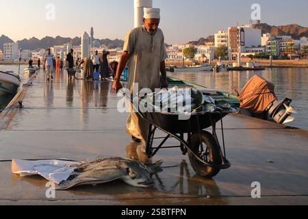 MUTTRAH, MASCATE, OMAN - 27 DICEMBRE 2024: Un operaio del mercato ittico che trasporta pesce con una carriola dal molo vicino al mercato ittico Foto Stock