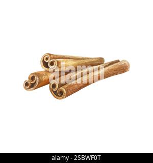 Bastoncini di cannella, spezie per bevande al caffè e cottura. Illustrazione ad acquerello disegnata a mano isolata su bianco. Per etichette, menu, striscioni, cartoline e post Foto Stock