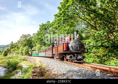 Ffestiniog Railway 'Double Fairlie' 0-4-4-0T No. 12 passo 'David Lloyd George' vicino all'Afon Glaslyn durante l'Hunslet 125 sulla Ffestiniog Railway Foto Stock