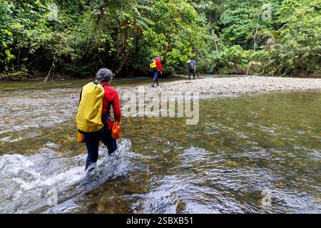 Attraversamento del fiume durante il trekking nella foresta pluviale, Mulu, Malesia Foto Stock