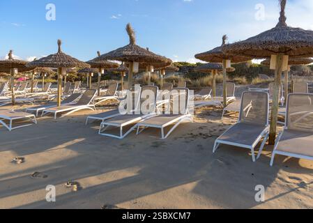 Ombrelloni di paglia e lettini sulla spiaggia Playa de muro a CAN Picafort a Maiorca. Isole Baleari, Spagna Foto Stock