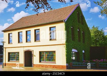 Casa, una delle quali è completamente coperta da Ivy Barsel, Germania, Europa Foto Stock