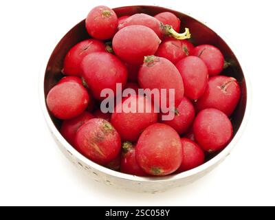 Ravanello rosso nella ciotola metallica su sfondo bianco Foto Stock
