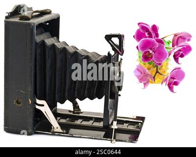 Vecchia fotocamera su sfondo bianco con fiore di orchidea rosa Foto Stock