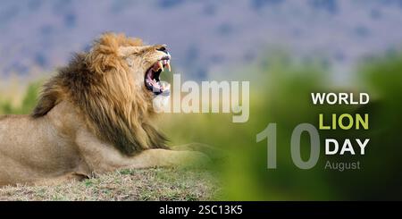 Giornata mondiale dei leoni, 10 agosto Foto Stock