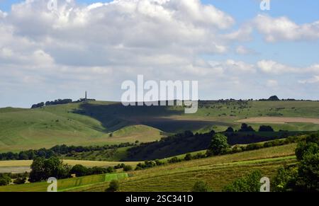 Vista dalla collina di Morgans verso il monumento Lansdowne su Cherhill Giù con Calstone giù e il sole che rotola campi in Il primo piano, Wiltshire.U Foto Stock