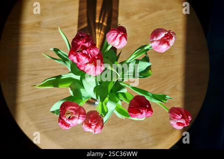 rivitalizzazione degli interni di un edificio e di una struttura, lavori di costruzione e conservazione rivitalizzazione degli interni di un edificio Foto Stock