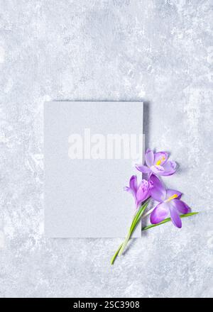 Mockup floreale. Scheda vuota con delicato croco viola su una superficie ruvida di colore grigio chiaro. Elegante composizione floreale per biglietti d'auguri, inviti, o. Foto Stock