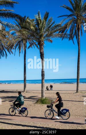 Palme sulla spiaggia di Patacona, Alboraya, Valencia Foto Stock