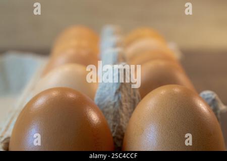 primo piano delle uova di gallina nella scatola di cartone Foto Stock