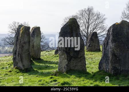 The Dragonstones on Hascombe Hill, un moderno cerchio di pietre nel Surrey Hills National Landscape, Surrey, Inghilterra, Regno Unito, durante l'inverno Foto Stock