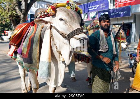 Sadhu con una vacca Santa a Mysuru (Mysore), Karnataka, India Foto Stock