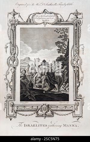 Incisione su lastra di rame degli Israeliti che raccolgono Manna -quando gli Israeliti erano affamati nel deserto Dio mandò rugiada sul terreno e quando il de Foto Stock